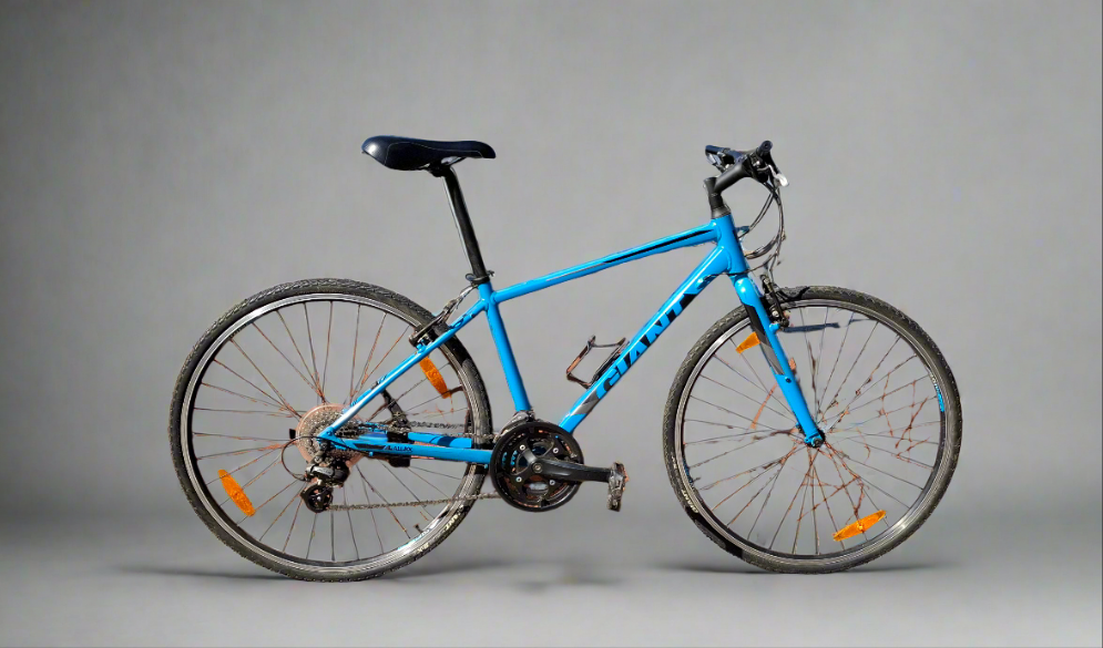 Giant Escape 2 Hybrid bike (2019)