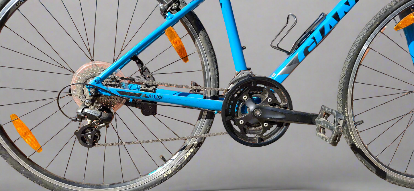 Giant Escape 2 Hybrid bike (2019)