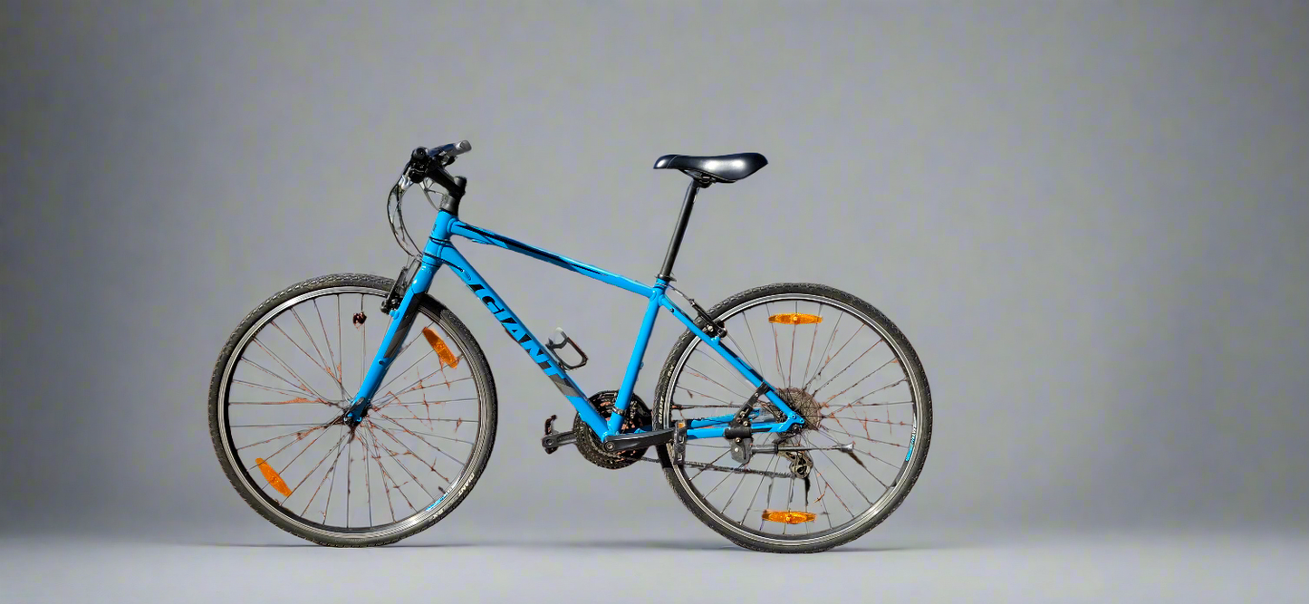 Giant Escape 2 Hybrid bike (2019)