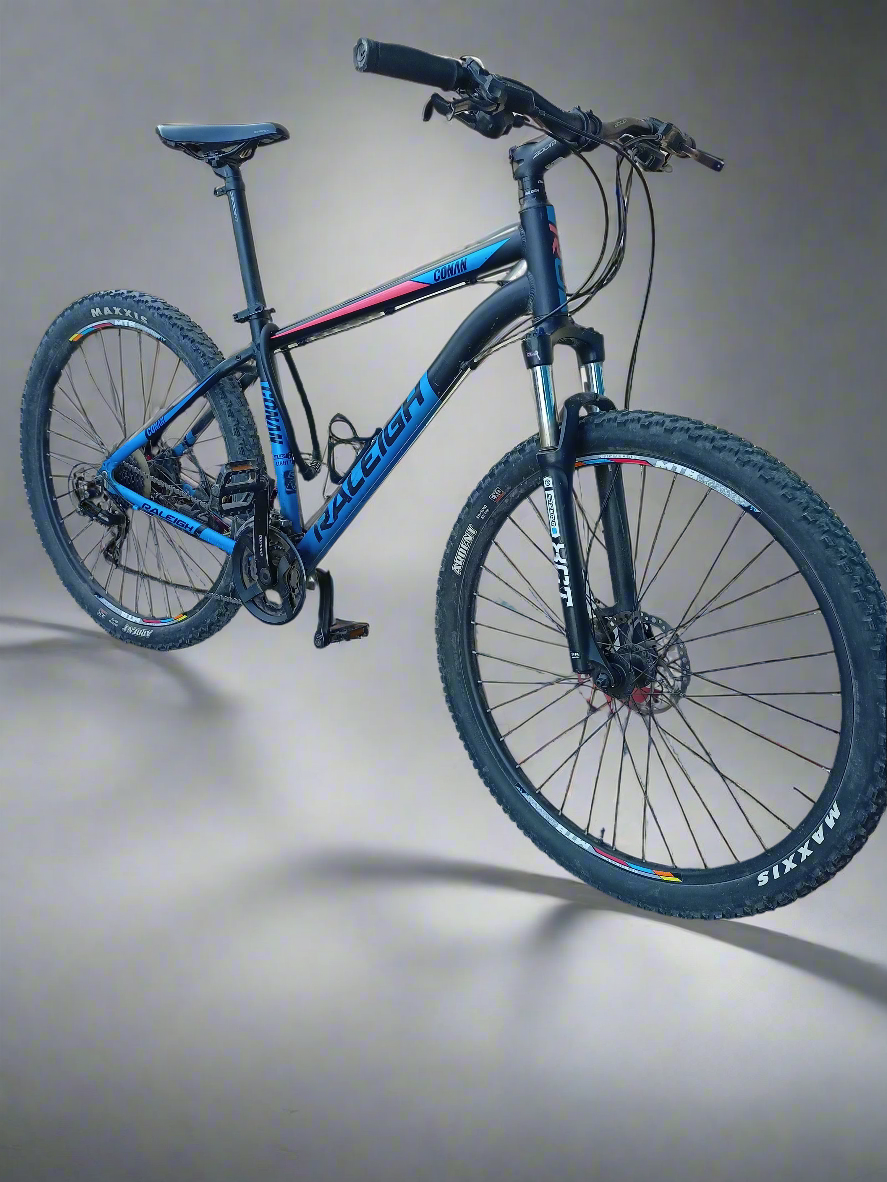 Raleigh Conan 29er(2020)