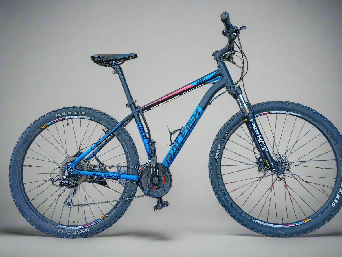 Raleigh Conan 29er(2020)